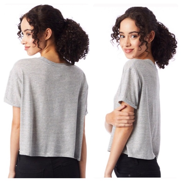 Alternative Apparel Tops - Alternative Apparel • Cropped Striped Eco-Jersey T